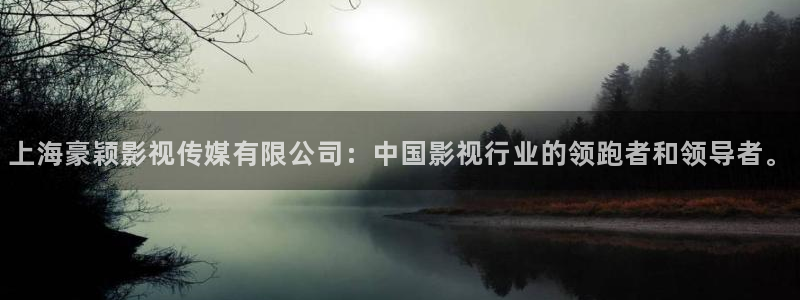 熊猫电影yy8y4(4)：上海豪颖影视传媒有限公司：中国影视行业的领跑者和领导者。