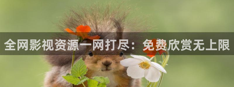 熊猫精品电影：全网影视资源一网打尽：免费欣赏无上限