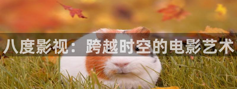 熊猫影院在线观看免费播放：八度影视：跨越时空的电影艺术