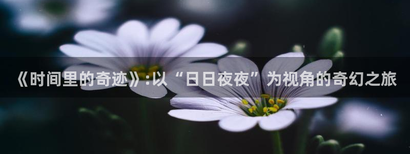 熊猫影院免费影院：《时间里的奇迹》:以“日日夜夜”为视角的奇幻之旅