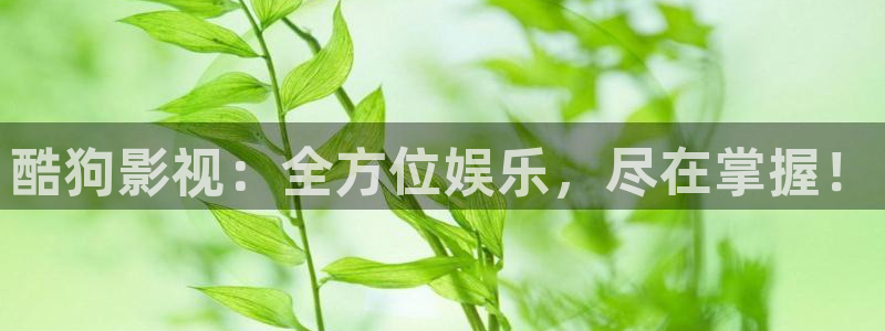 9.1熊猫电影网