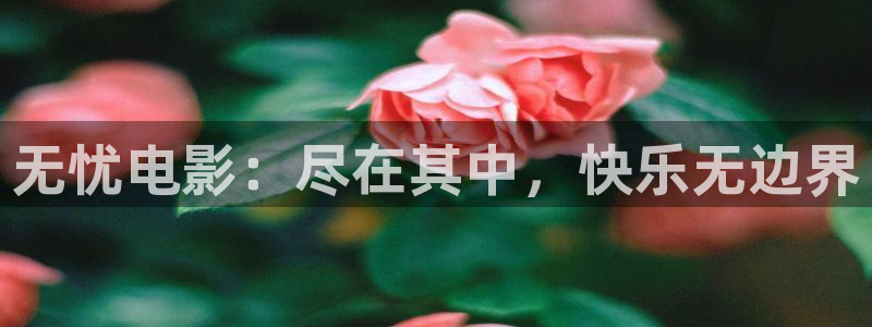 熊猫电影y8y8