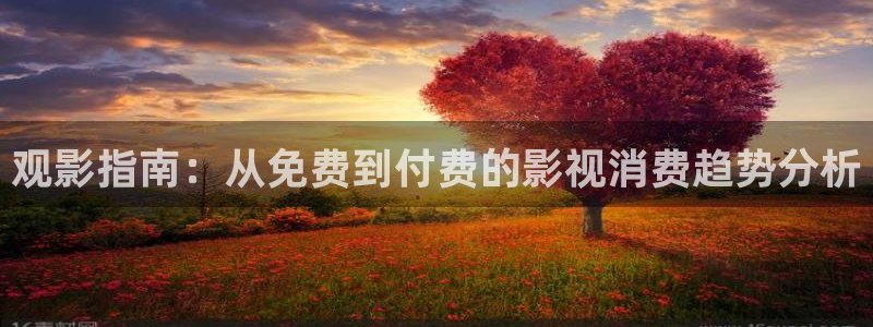 熊猫电影在线观看：观影指南：从免费到付费的影视消费趋势分析