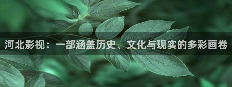 熊猫酒店在哪：河北影视：一部涵盖历史、文化与现实的多彩画卷