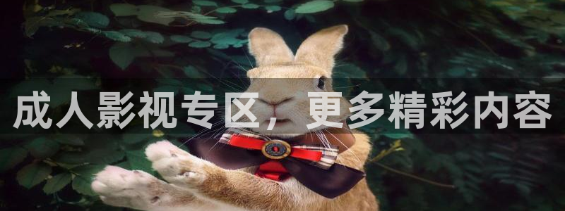 熊猫影视在线观看免费观看