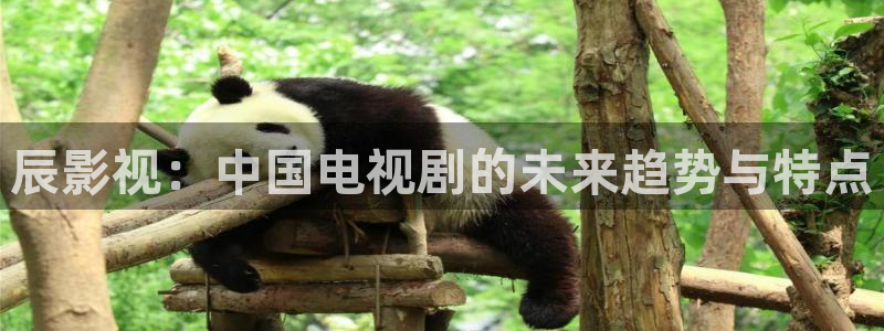 熊猫 电影